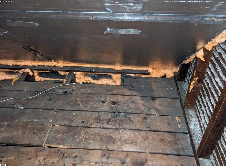 Rodent-damaged attic insulation being cleaned in a San Diego home