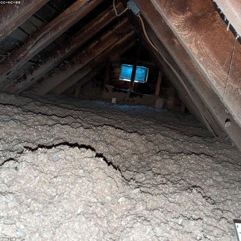 Attic checked and monitored after a rodent treatment in San Diego